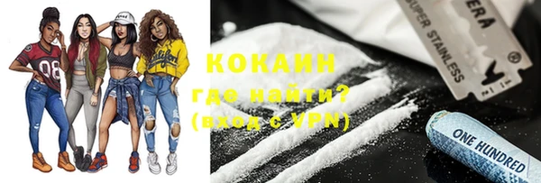 индика Аркадак