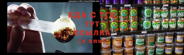 индика Аркадак