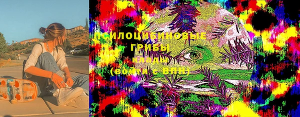 крисы Арсеньев