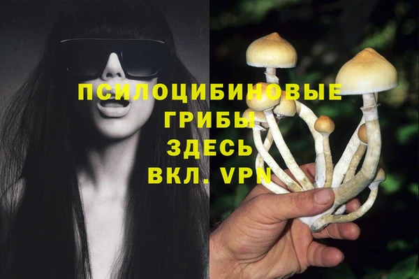 крисы Арсеньев