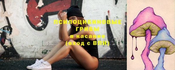 индика Аркадак