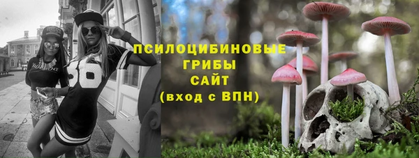 крисы Арсеньев