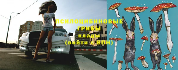 индика Аркадак
