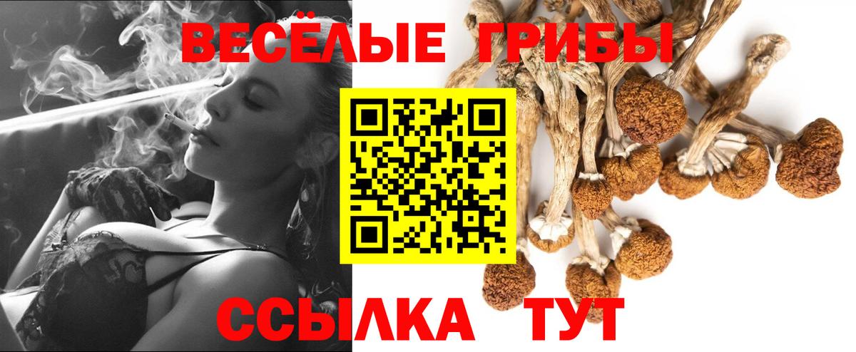 Галлюциногенные грибы ЛСД  Вход с VPN  Строитель 