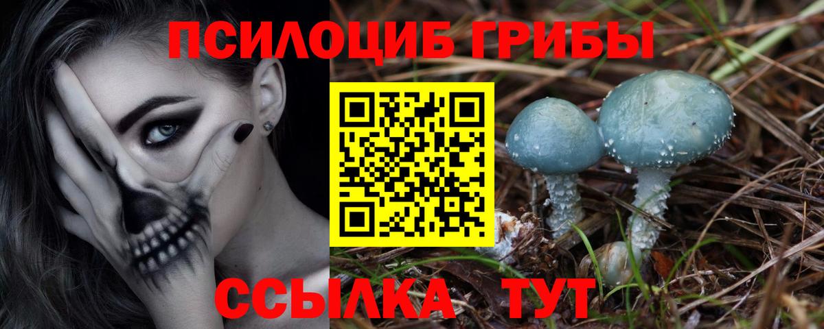 Галлюциногенные грибы GOLDEN TEACHER Строитель